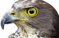 انسحاب مجموعة من اطر وشباب حزب حاتم وانضمامها إلى حزب الاتحاد من اجل الجمهورية 