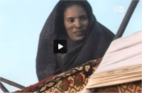 أول سباق نسوي على ظهور الجمال في موريتانيا — فيديو 