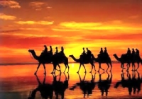 التفاؤل.. دواء للقلب 