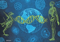 «إنفلونزا الصين» الجديدة.. الخوف من المجهول 