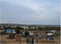 مواجهات بمدينة الطينطان بين قوات الأمن و تجار الماشية 