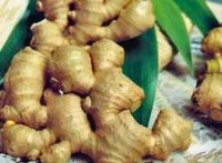 الزنجبيل يحمي الكبد من التليف 