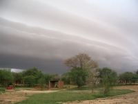 تساقط أمطار في عدة مناطق من البلاد 