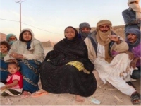 ممثل مفوضية اللاجئين: لدينا 65 ألف لاجئ مالي في موريتانيا 