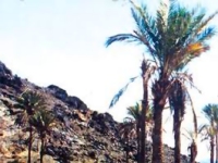 الهجرة من الريف تعطل النظام الاجتماعي في موريتانيا 