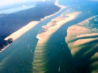 التصحر يهدد حوض آرغين في موريتانيا‎ 