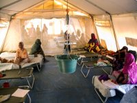 موريتانيا تعلن الحرب على التهاب الكبد 