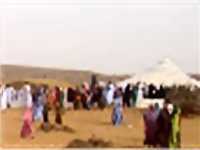 موريتانيا.. مهرجان التمور يحظى بحضور وفود عربية 