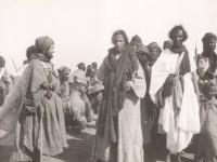 الدور الذي تلعبه القبيلة في موريتانيا 