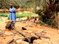 "الزراعة الأسرية" في احتفالات موريتانيا باليوم العالمي للأغذية 