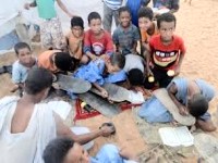 خطة لتطوير المحاظر الدينية في موريتانيا 