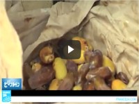 موريتانيا - تمور وطنية طبيعة بامتياز — فيديو 