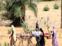 "برنامج الأغذية العالمي "يحذر من كارثة انسانية في موريتانيا 