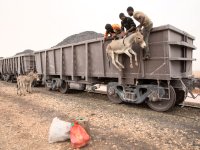 قطار الصحراء يزرع الحياة في شمال موريتانيا 