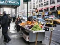 نيويورك : الإستخبارات الأمريكية تنفي التجسس على بائعي الخضار المسلمين 