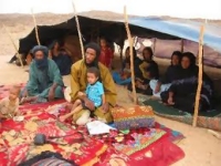 موريتانيا والنيجر تواجهان موجة اللاجئين الفارين من مالي 