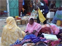 الخضر تشغل 4 آلاف هكتار من أرض موريتانيا