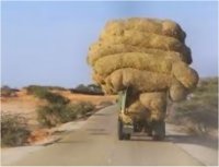 وفاة عنصرين من الدرك في حادث سير على الطريق نواكشوط-روصو 