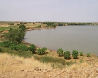 موريتانيا : بعد تساقط أمطار مُعتبرة على ولاية كيدي ماغه خلال الفترة (…) 