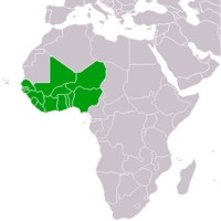 مصطفى ولد عبيد الرحمن يدعو موريتانيا إلى العودة إلى المجموعة الإقتصادية لدول (…) 