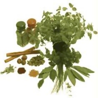 العلاج بالأعشاب يعزز الصحة العامة 