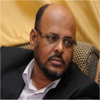 التيار الإسلامي في موريتانيا يحشد لتأييد مرسي 