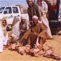 القناصة الخليجيين في مالي وموريتانيا 