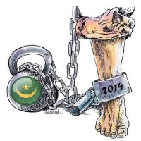 الرق في موريتانيا تحت صخرة تحالف الدولة والمتشددين 