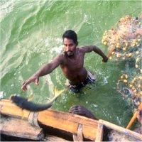 الصيد على شواطىء موريتانيا يكلف أوروبا 113 مليون يورو 