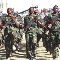 الطوارق يؤجلون مهمة أمريكا العسكرية فى مالى 