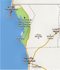 منظمات حقوقية وأحزاب سياسية تتجه إلى اينال 